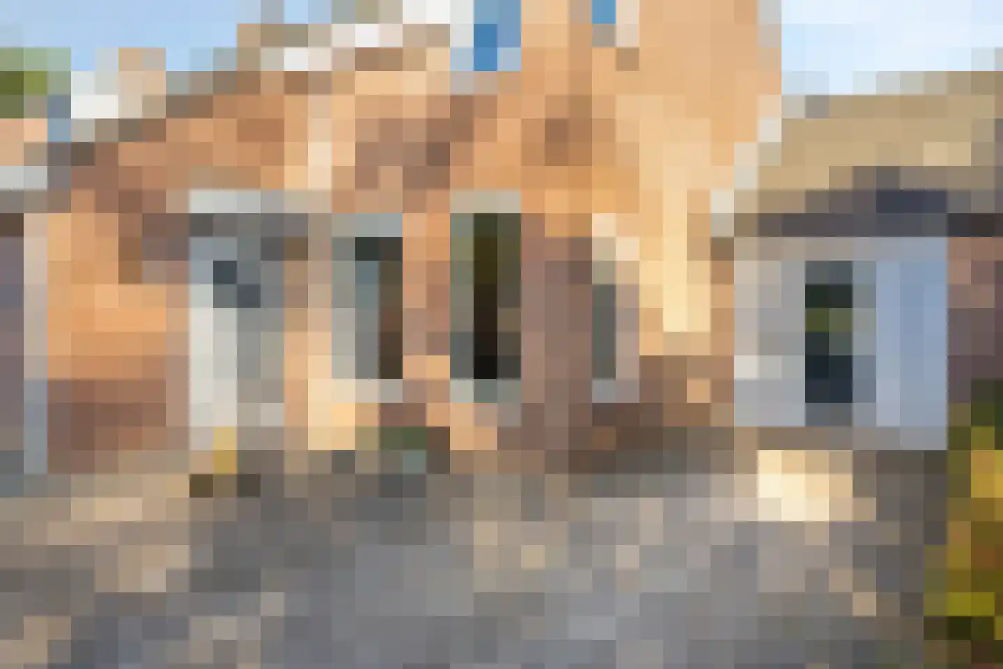 Burg. Van Laarstraat 20 Gronsveld foto 3