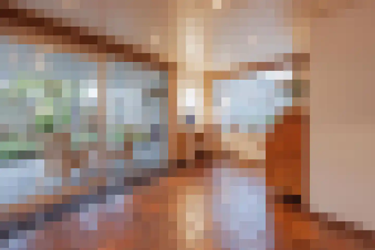 Burg van Leentstraat 104 Grubbenvorst thumbnail 17