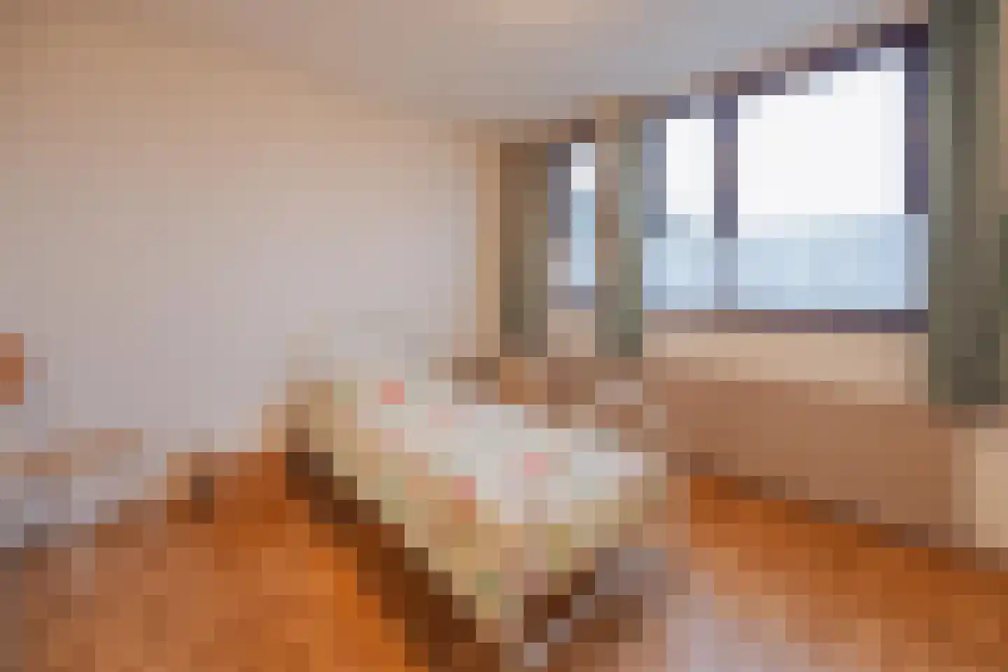 Burg van Leentstraat 104 Grubbenvorst thumbnail 24