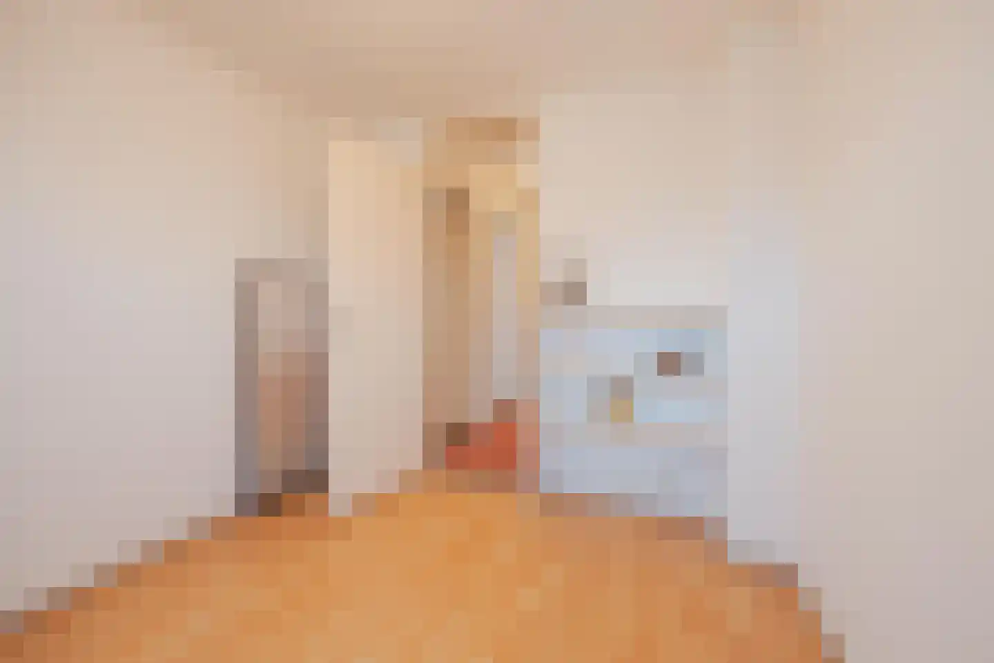 Burg van Leentstraat 104 Grubbenvorst thumbnail 27