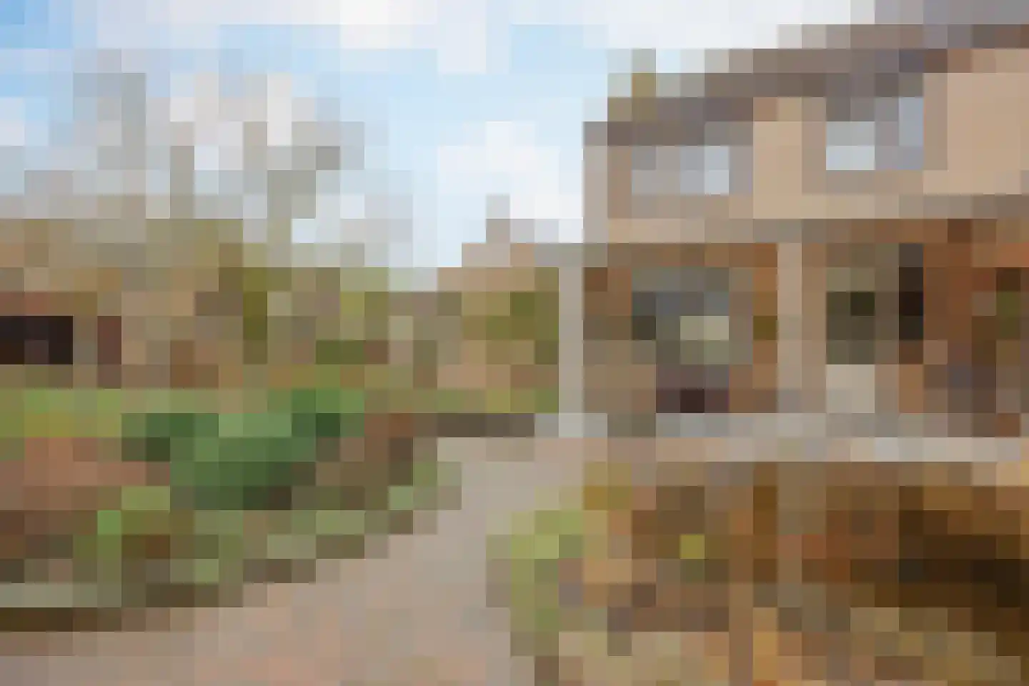 Burg van Leentstraat 104 Grubbenvorst thumbnail 33