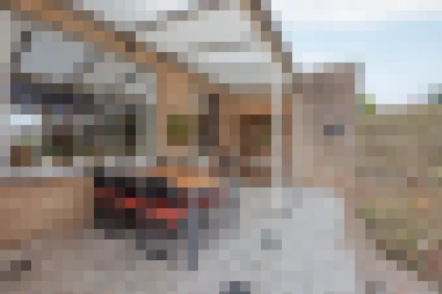 Burg van Leentstraat 104 Grubbenvorst thumbnail 34