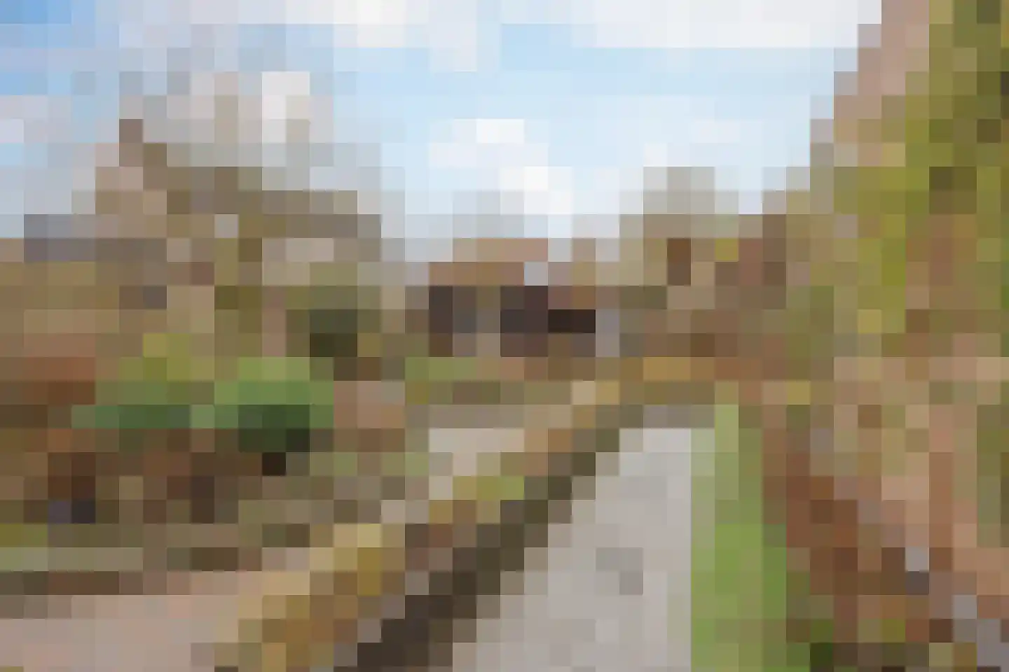 Burg van Leentstraat 104 Grubbenvorst thumbnail 36