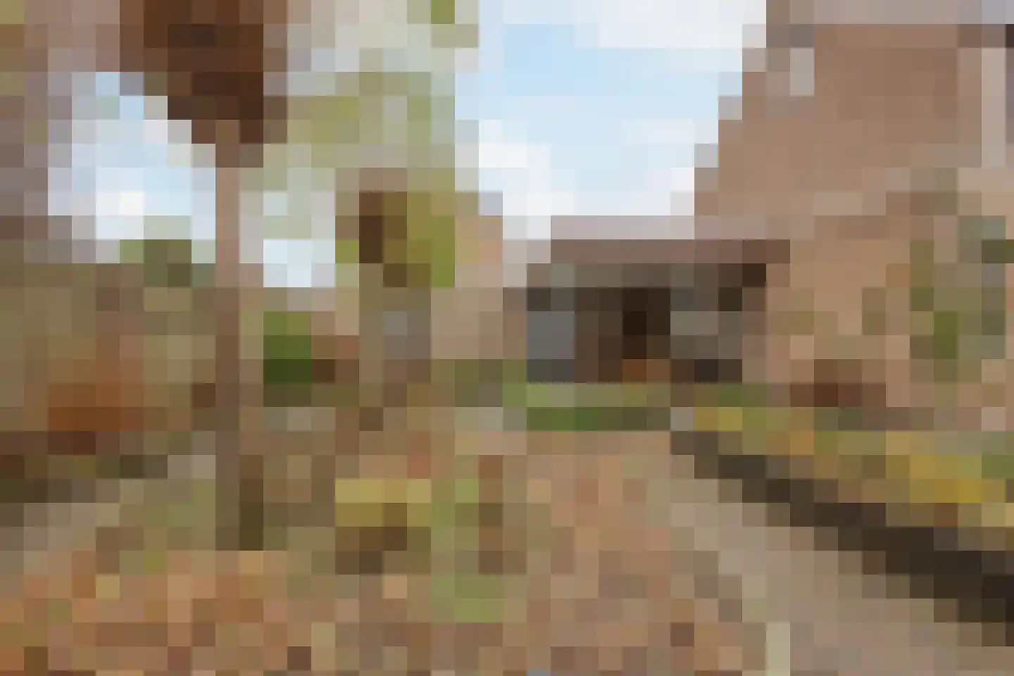 Burg van Leentstraat 104 Grubbenvorst thumbnail 38