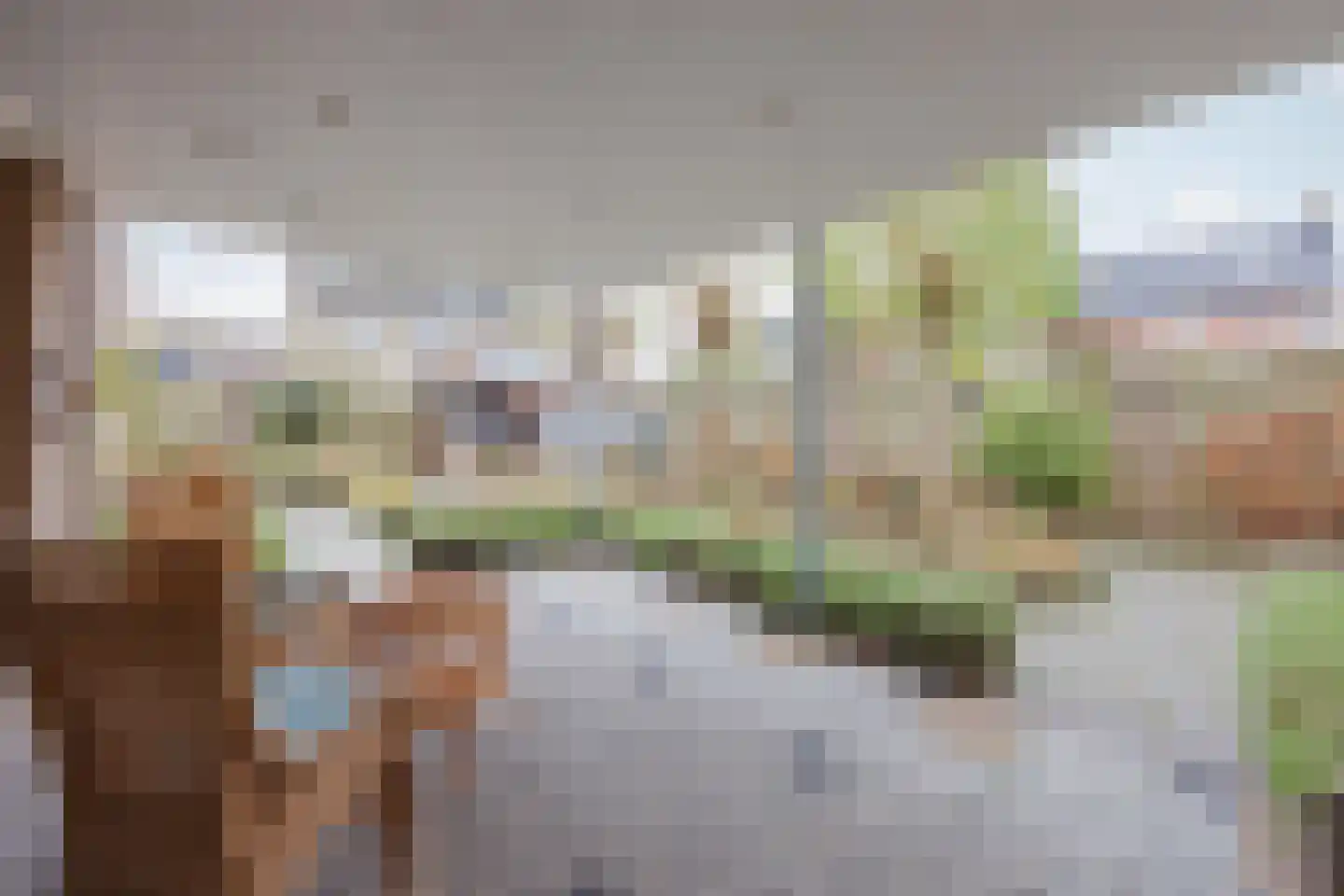Burg van Leentstraat 104 Grubbenvorst thumbnail 39