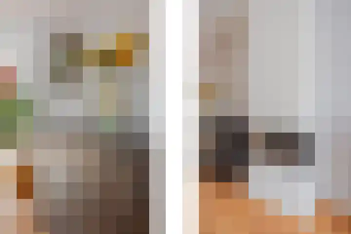 Burg van Leentstraat 18 Grubbenvorst thumbnail 13