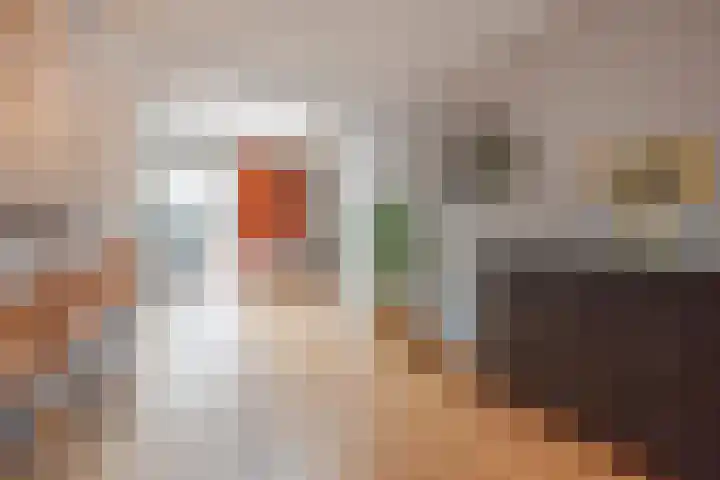 Burg van Leentstraat 18 Grubbenvorst thumbnail 14