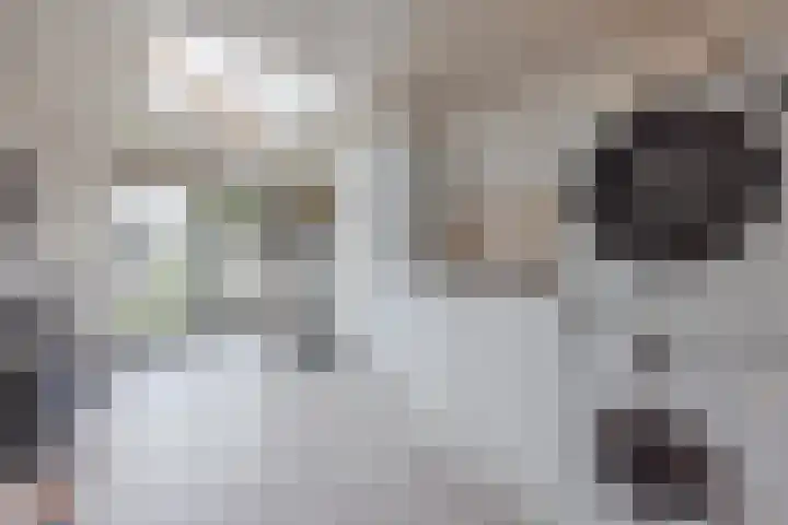 Burg van Leentstraat 18 Grubbenvorst thumbnail 25