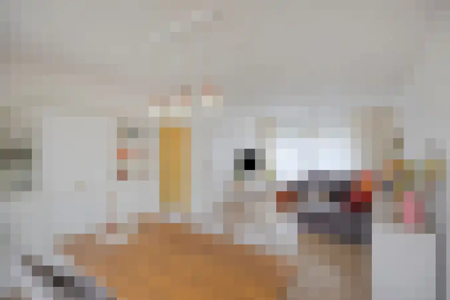 Burg van Leentstraat 27 Grubbenvorst thumbnail 10