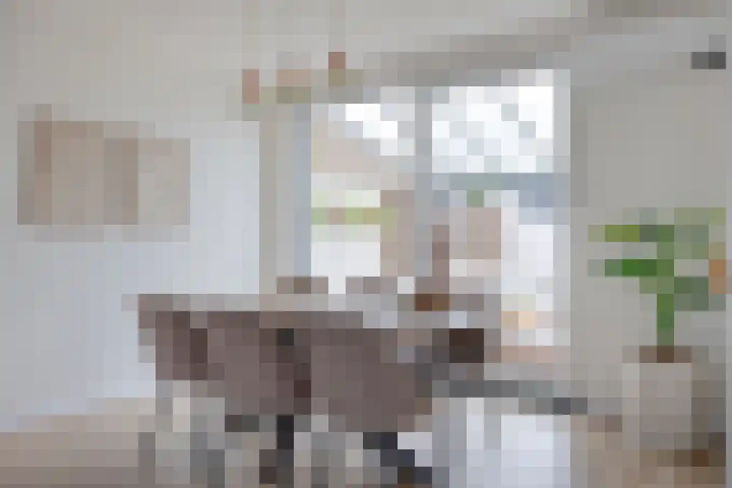 Burg van Leentstraat 27 Grubbenvorst thumbnail 11