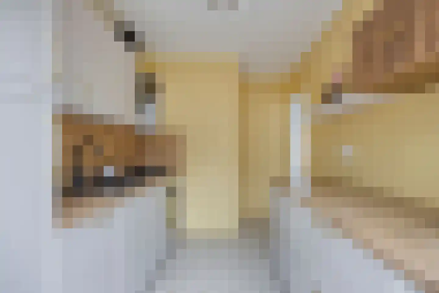 Burg van Leentstraat 27 Grubbenvorst thumbnail 14