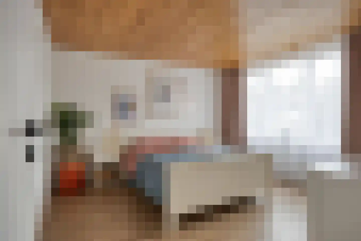 Burg van Leentstraat 27 Grubbenvorst thumbnail 16
