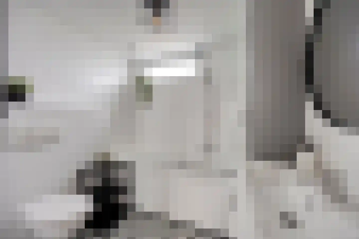 Burg van Leentstraat 27 Grubbenvorst thumbnail 17