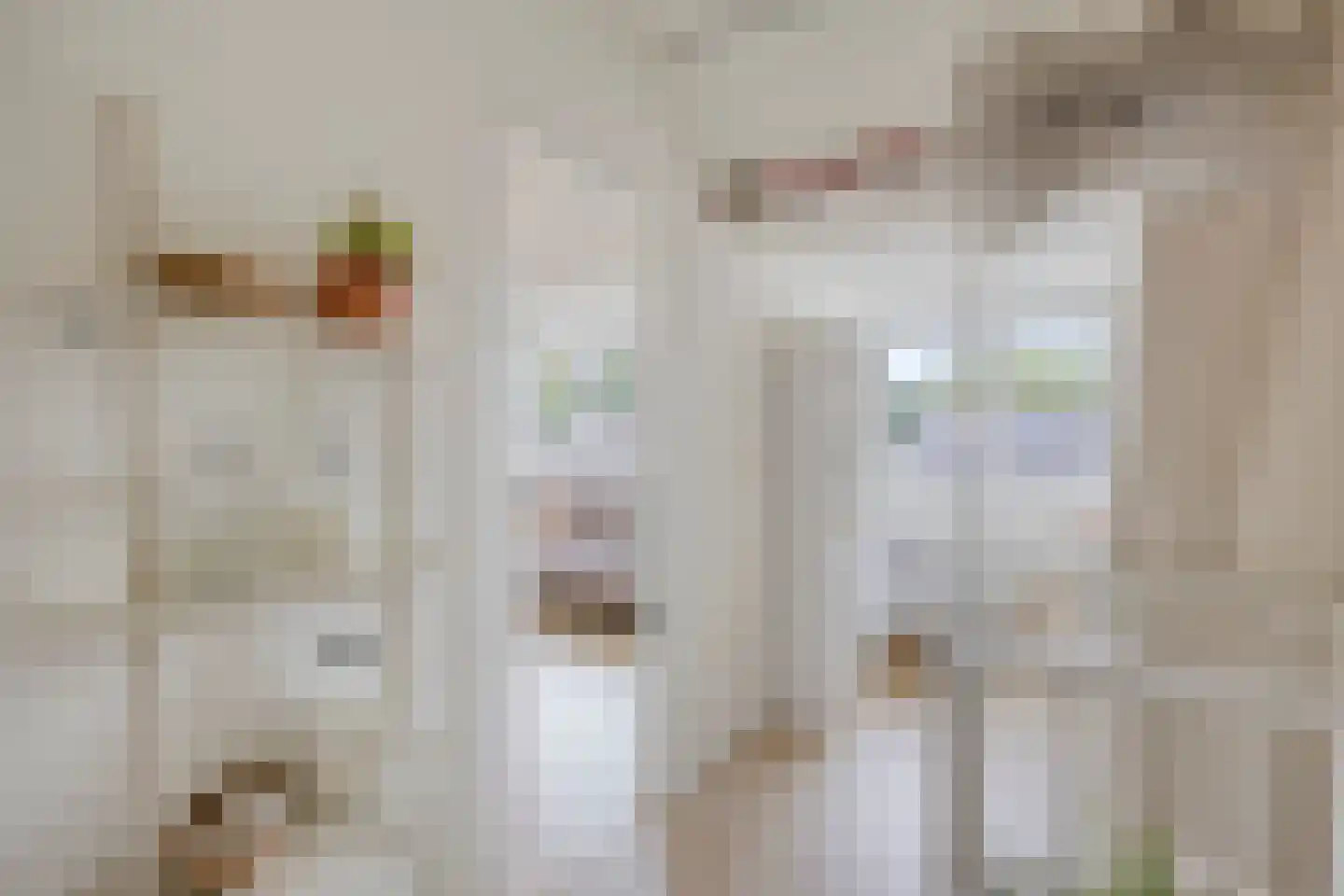 Burg van Leentstraat 27 Grubbenvorst thumbnail 23