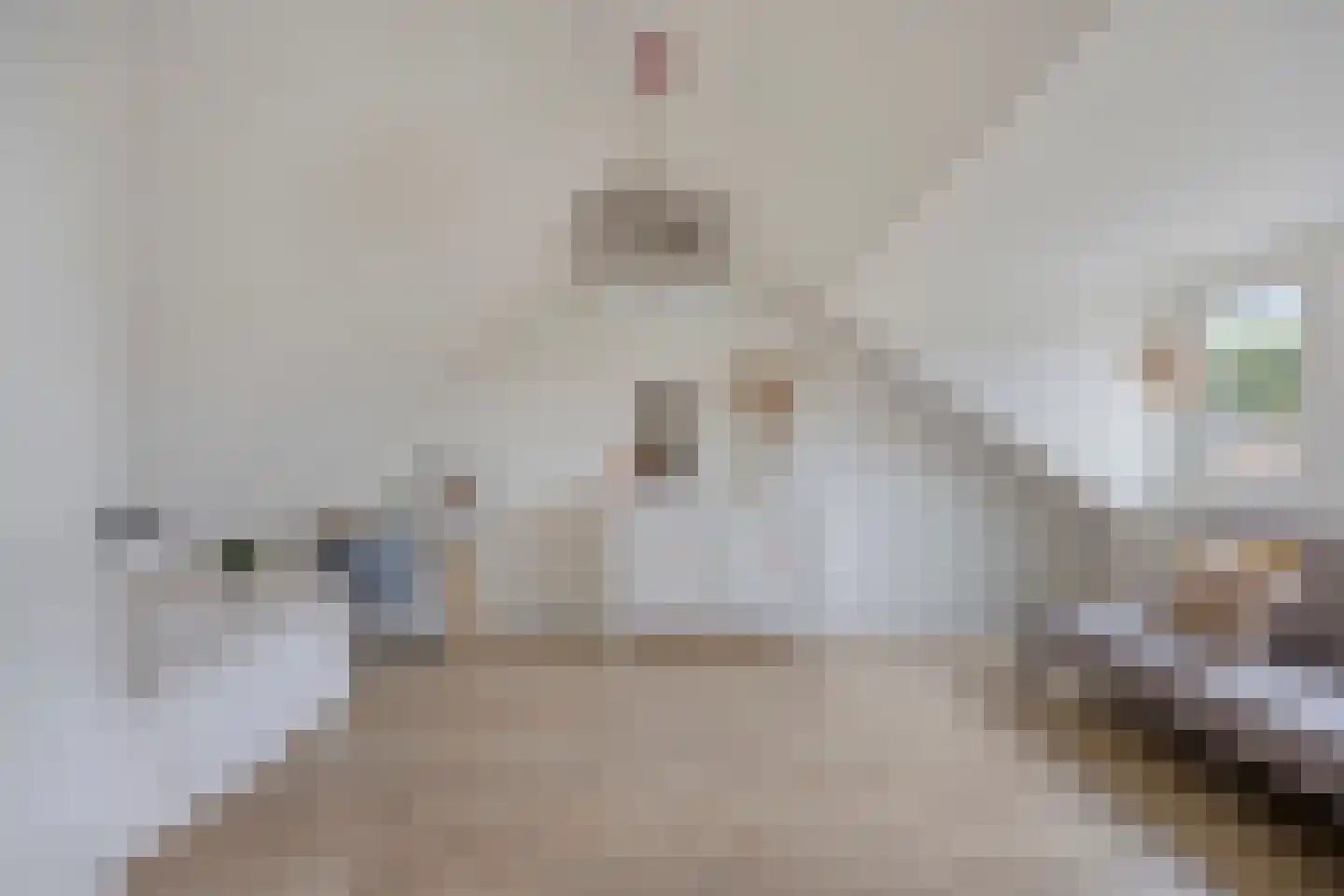Burg van Leentstraat 27 Grubbenvorst thumbnail 24