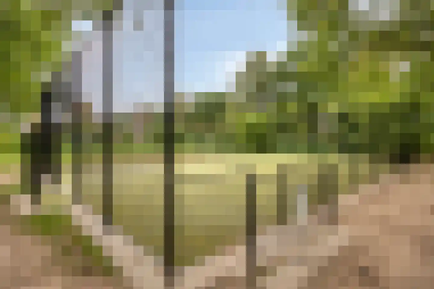 Burg van Leentstraat 27 Grubbenvorst thumbnail 32