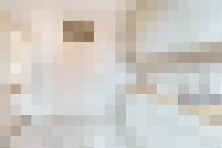 Burg van Leentstraat 34 Grubbenvorst thumbnail 7