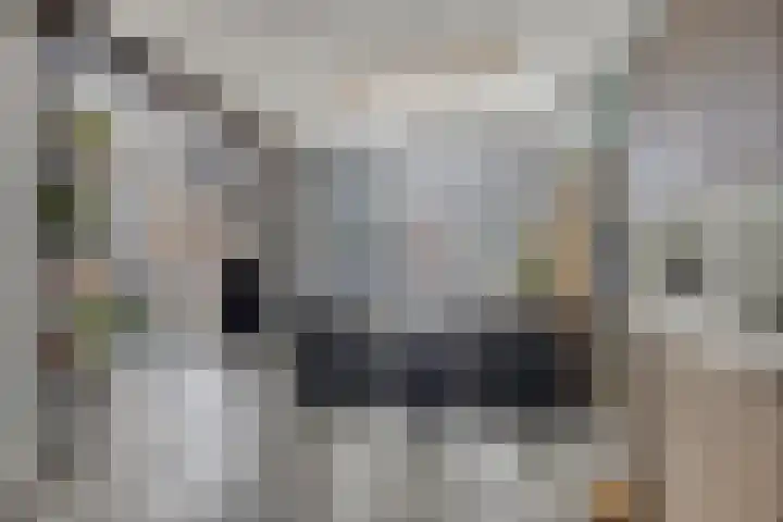 Burg van Leentstraat 54 Grubbenvorst thumbnail 18