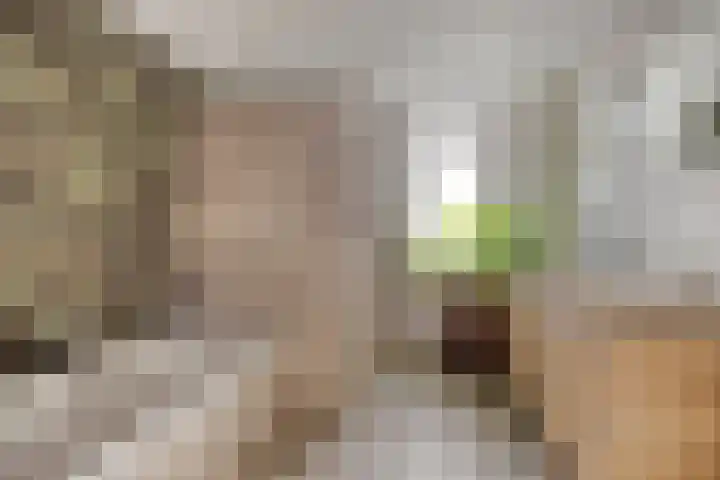 Burg van Leentstraat 54 Grubbenvorst thumbnail 35