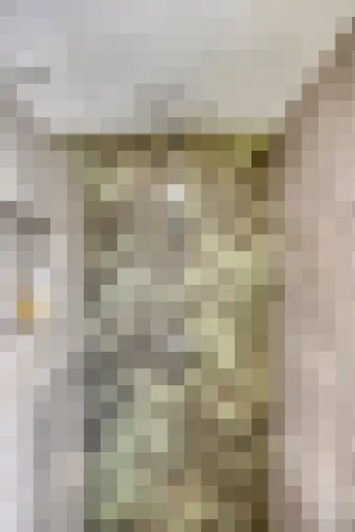 Burg van Leentstraat 54 Grubbenvorst thumbnail 36