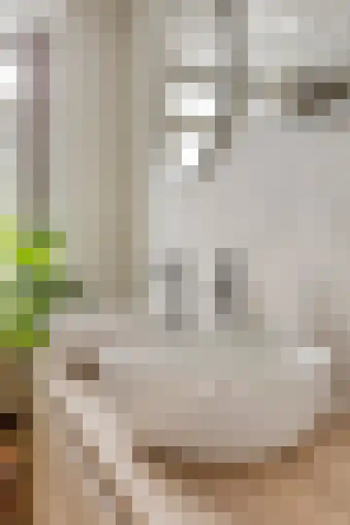 Burg van Leentstraat 54 Grubbenvorst thumbnail 37