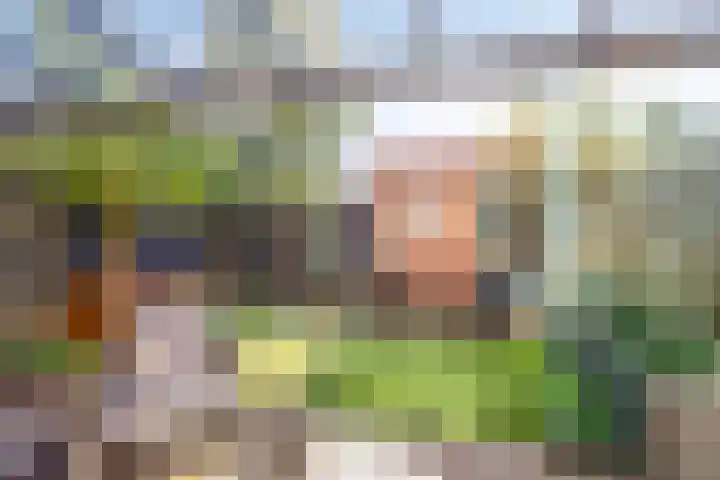 Burg van Leentstraat 54 Grubbenvorst thumbnail 4
