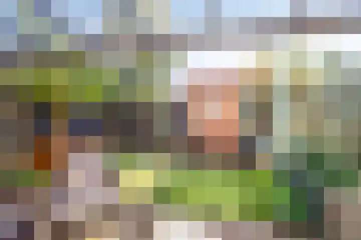 Burg van Leentstraat 54 Grubbenvorst thumbnail 45