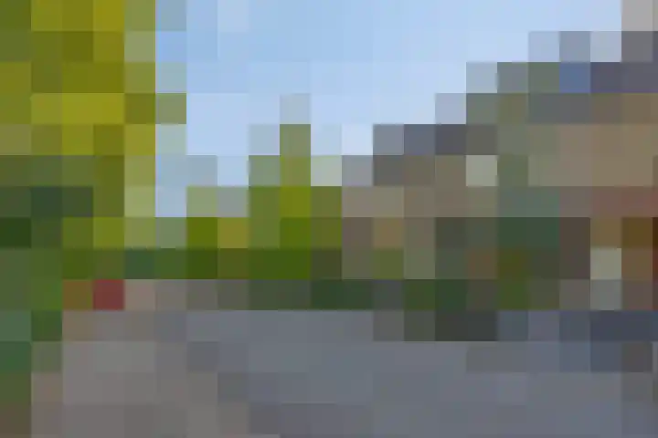 Burg van Leentstraat 54 Grubbenvorst thumbnail 8