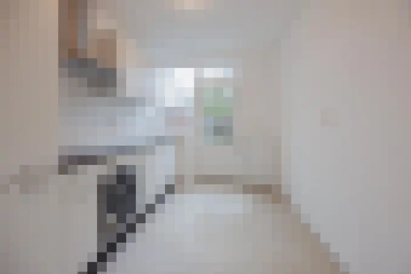 Burg van Leentstraat 64 Grubbenvorst thumbnail 14
