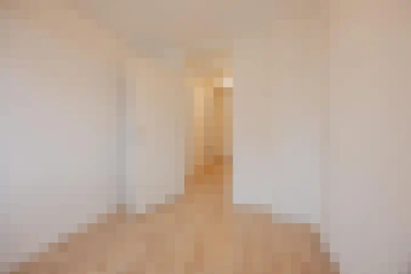 Burg van Leentstraat 64 Grubbenvorst thumbnail 23