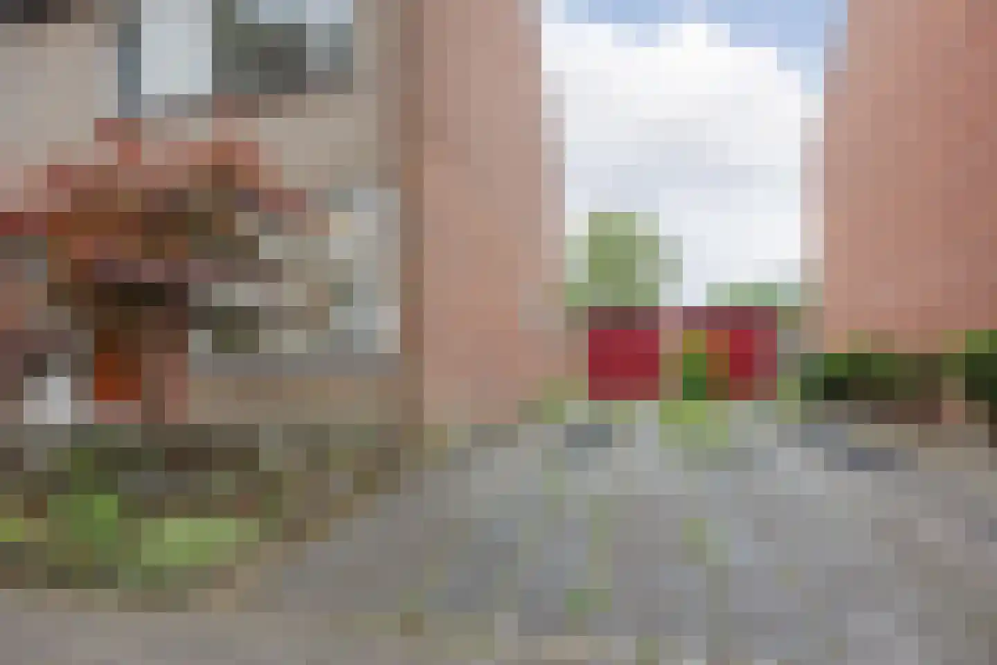 Burg van Leentstraat 64 Grubbenvorst thumbnail 39