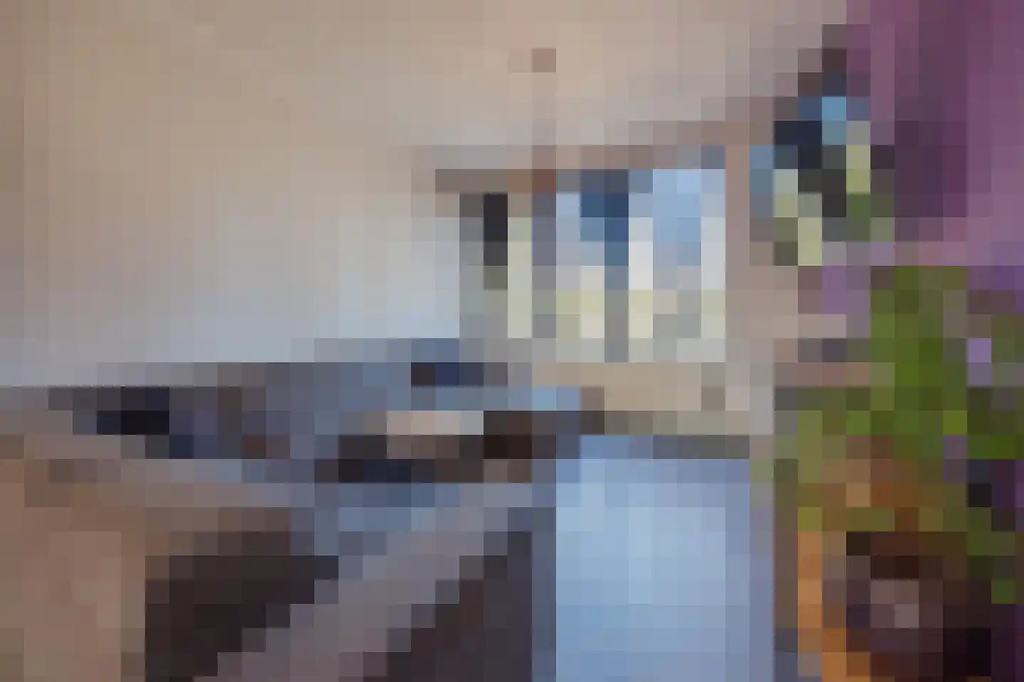 Burg van Leentstraat 68 Grubbenvorst thumbnail 11