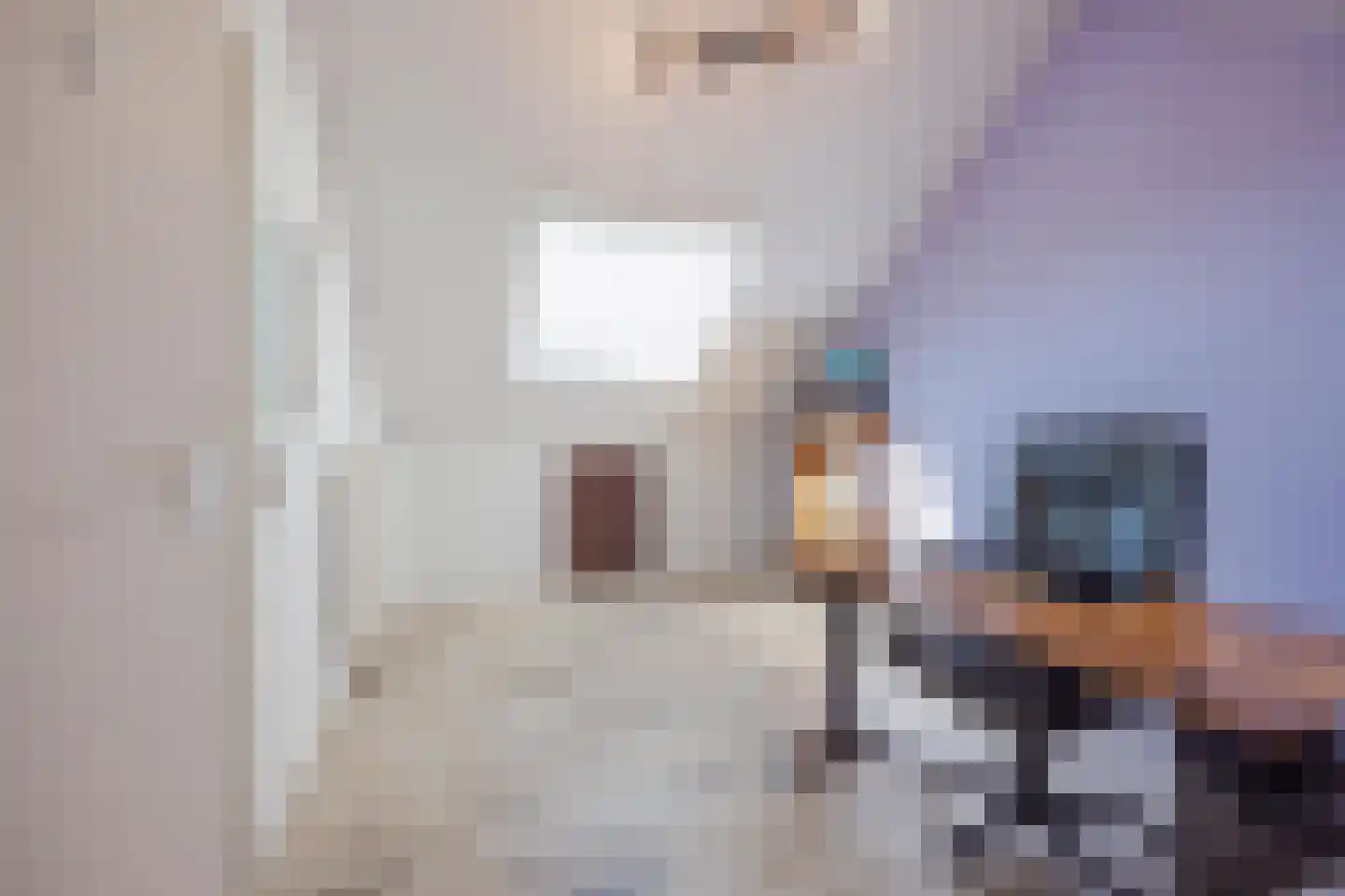 Burg van Leentstraat 68 Grubbenvorst thumbnail 6