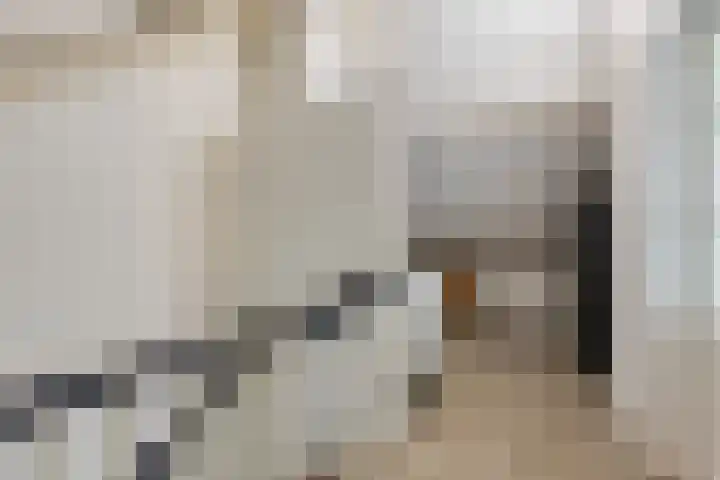 Burg van Leentstraat 78 Grubbenvorst thumbnail 20