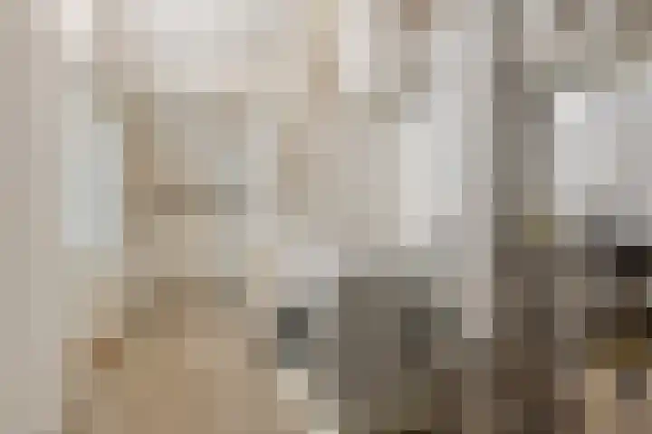 Burg van Leentstraat 78 Grubbenvorst thumbnail 21