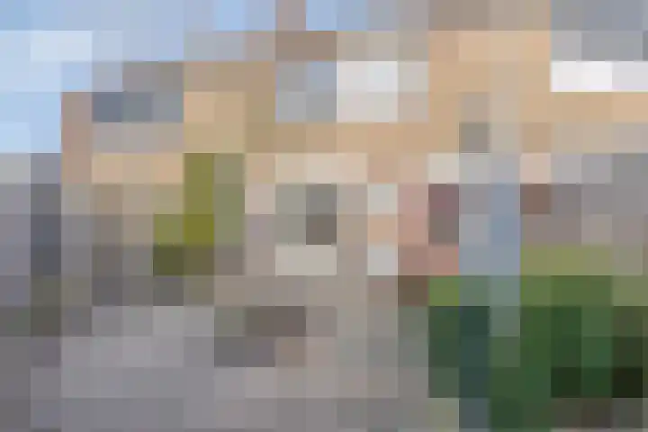 Burg van Leentstraat 78 Grubbenvorst thumbnail 24