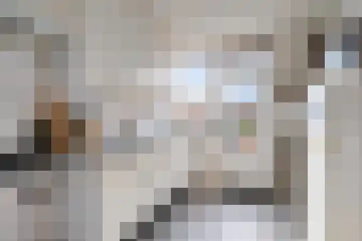 Burg van Leentstraat 78 Grubbenvorst thumbnail 6