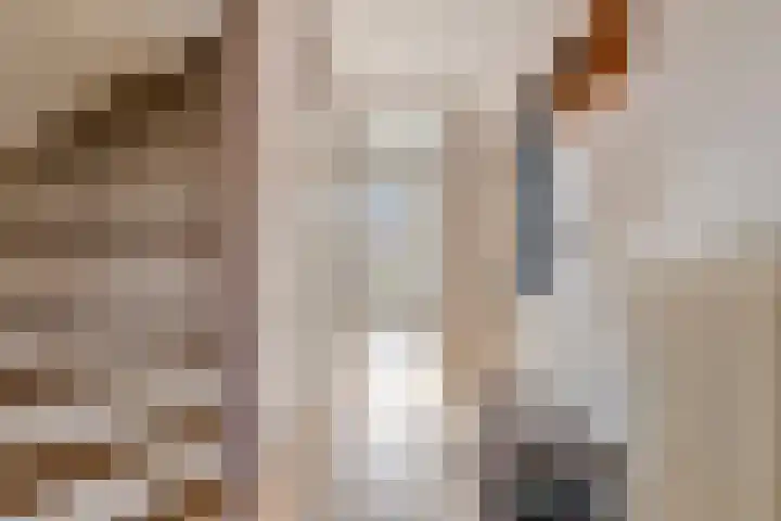 Burg van Leentstraat 78 Grubbenvorst thumbnail 9