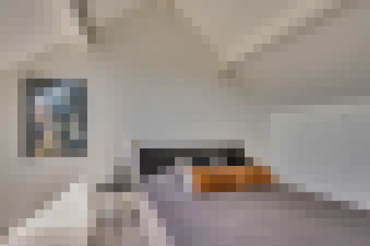Burg van Leentstraat 80 Grubbenvorst thumbnail 31