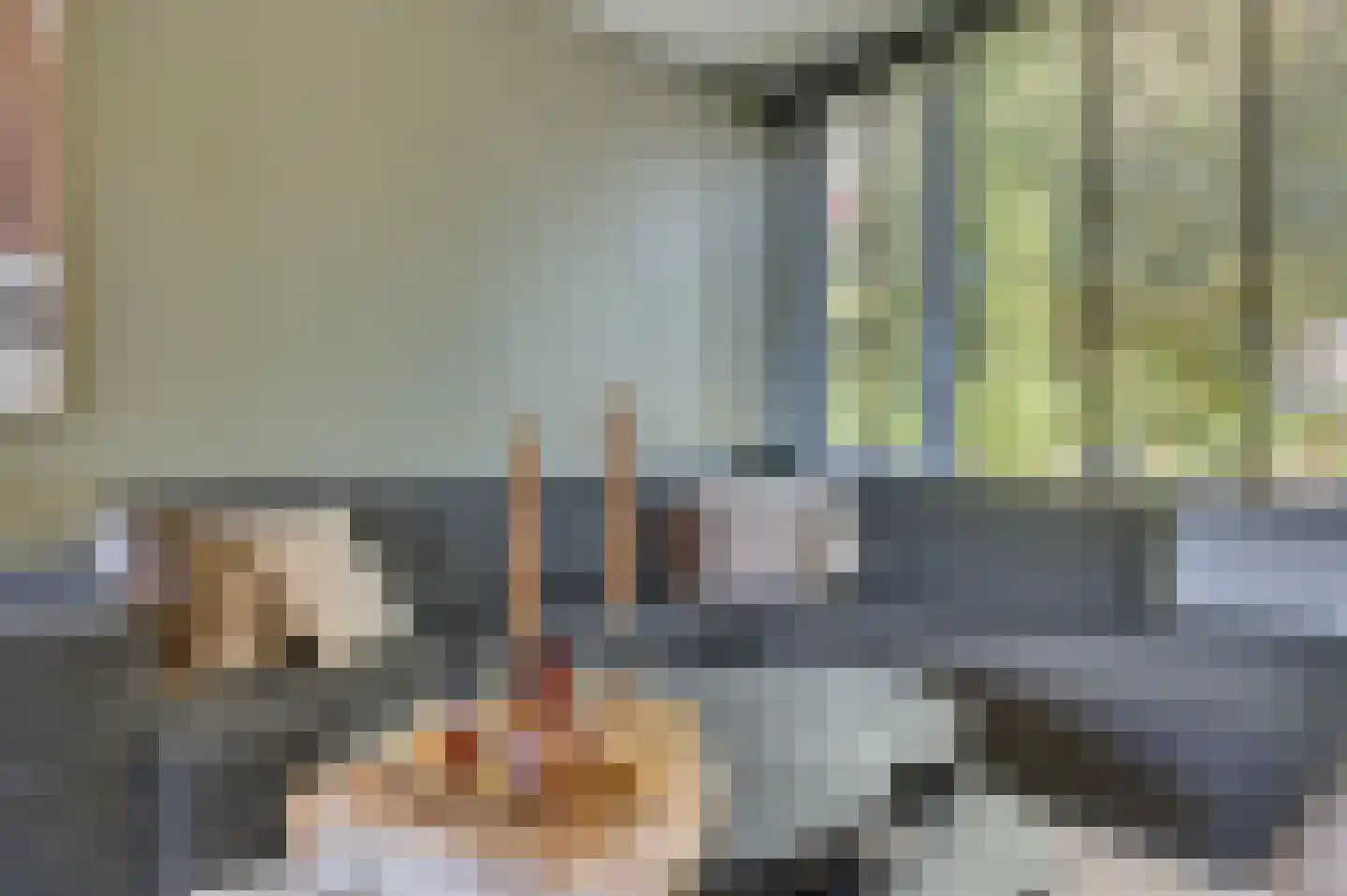 Burg van Leentstraat 80 Grubbenvorst thumbnail 5