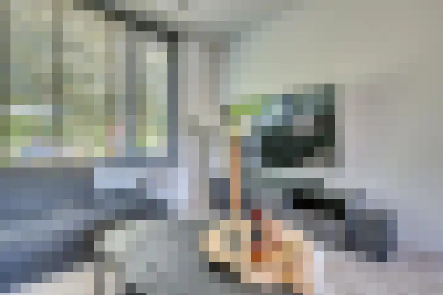 Burg van Leentstraat 80 Grubbenvorst thumbnail 6