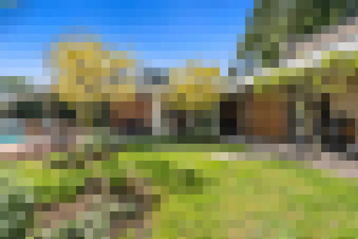Burg. van Lithstraat 18 Veghel thumbnail 60