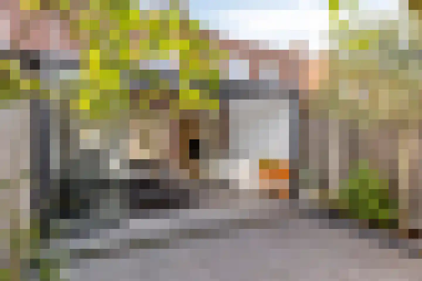 Burg. Van Loghemplein 16 Deventer thumbnail 27