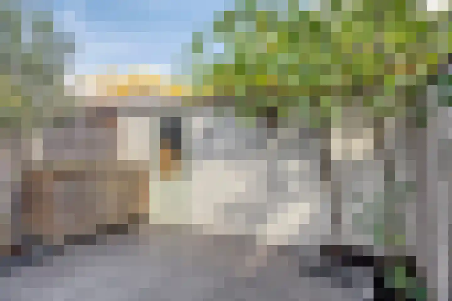 Burg. Van Loghemplein 16 Deventer thumbnail 29
