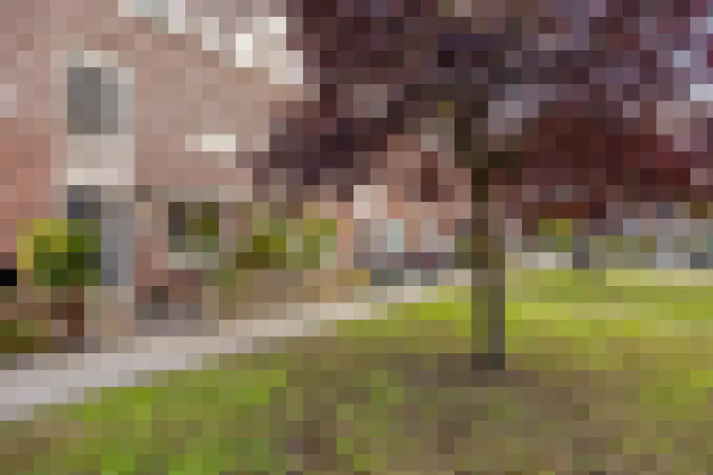 Burg. Van Loghemplein 16 Deventer thumbnail 31