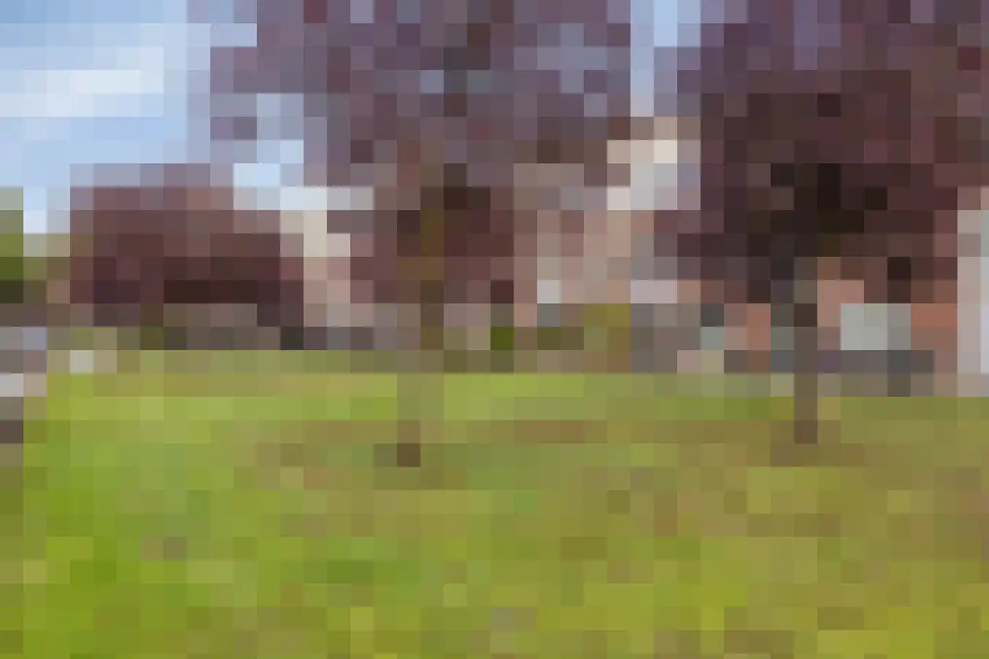 Burg. Van Loghemplein 16 Deventer thumbnail 33