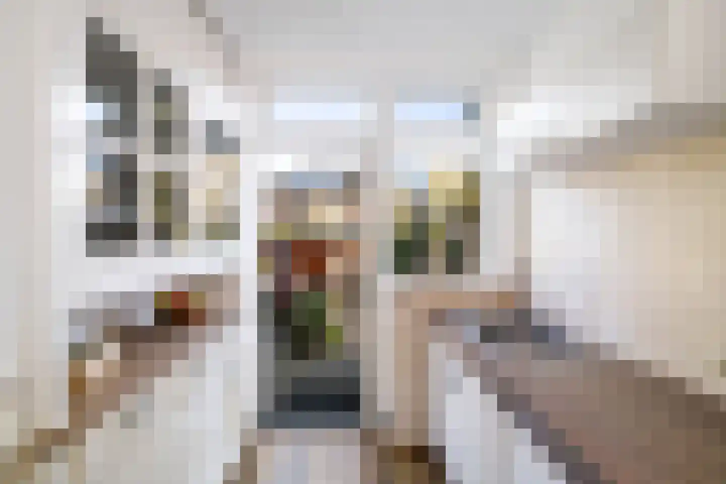 Burg. Van Marlestraat 22 Deventer thumbnail 18
