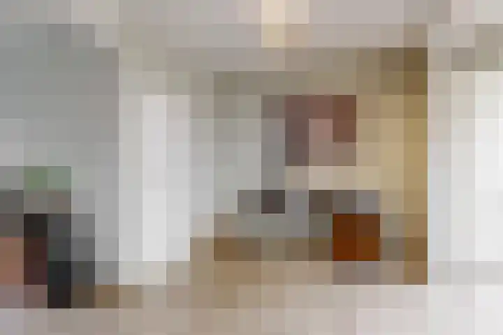 Burg van Mulkenstraat 46 Elsloo thumbnail 7