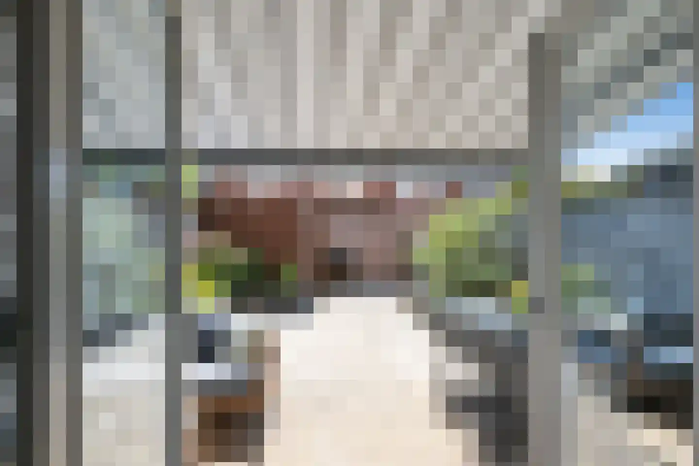 Burg. Van Reesstraat 17 Maassluis thumbnail 11