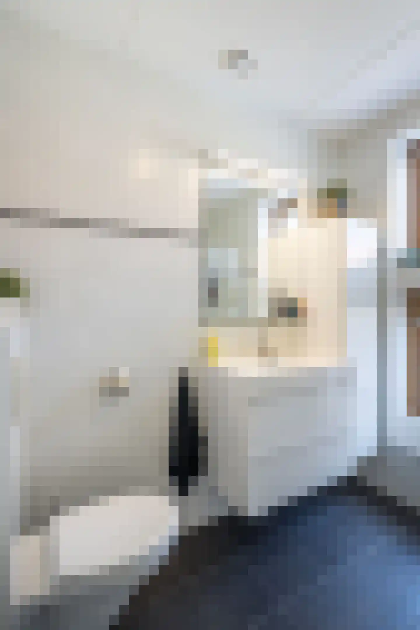 Burg. Van Reesstraat 17 Maassluis thumbnail 25